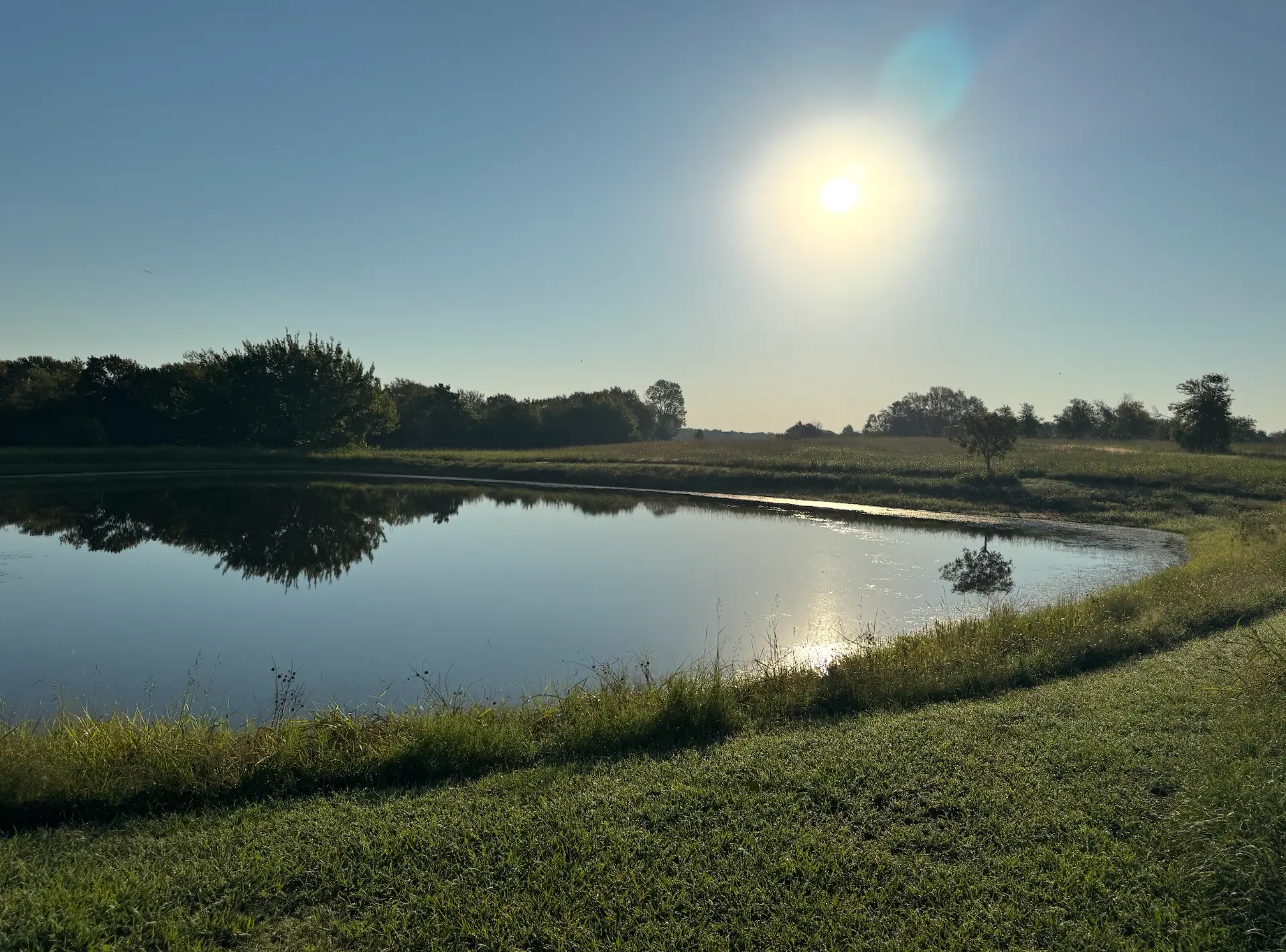 Morning sun over a still pond reflecting trees, with open grassy fields