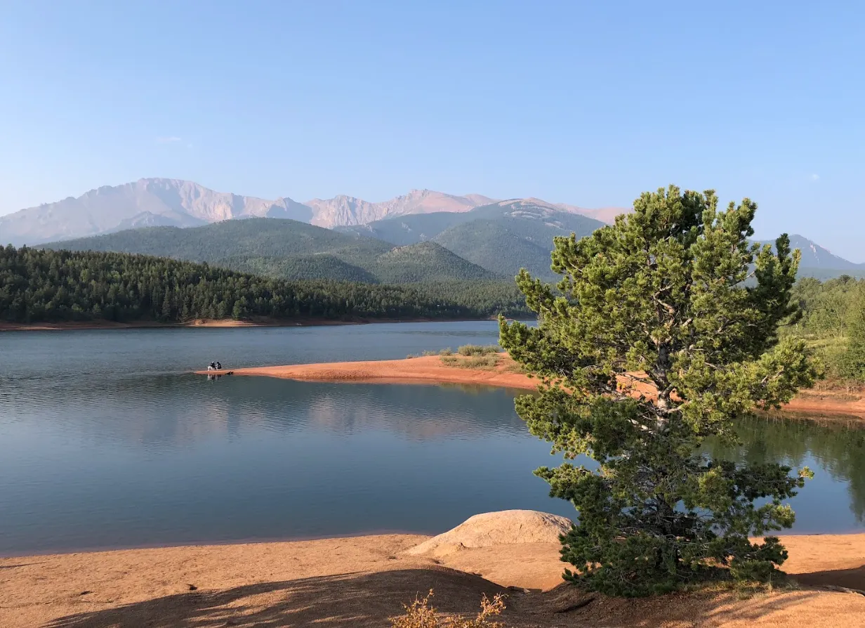 A calm mountain reservoir with a pine tree on a sandy shore and tall peaks in the distance