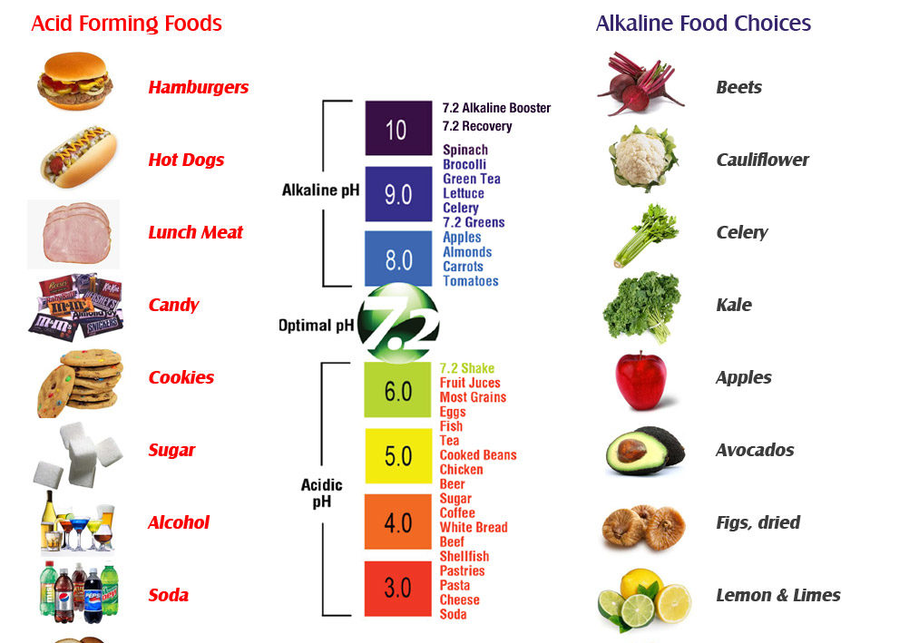 List of Acid vs. Alkaline foods in our diet